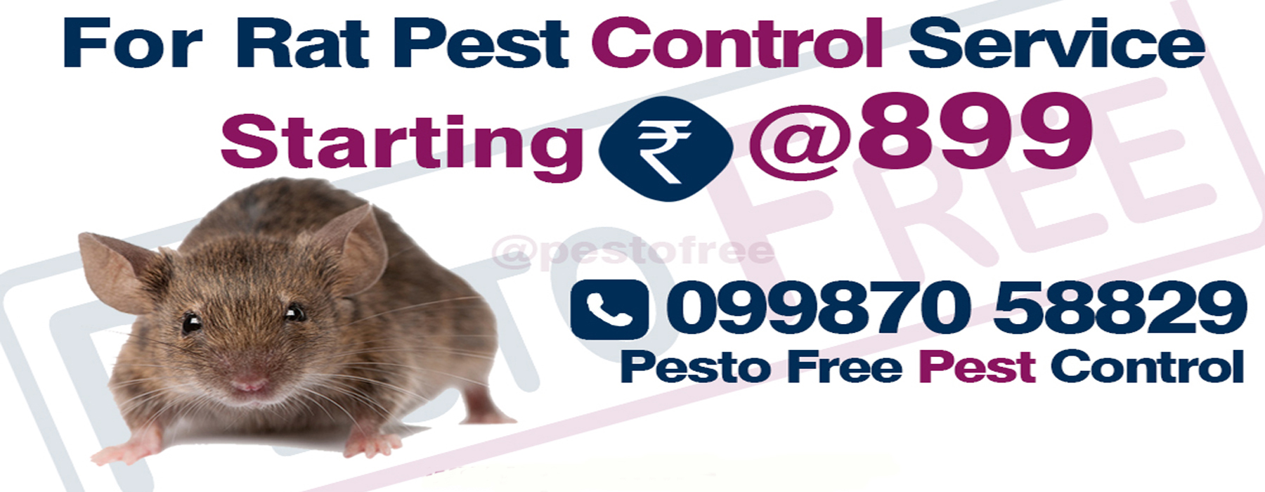 Rodent Pest Control in Mumbai